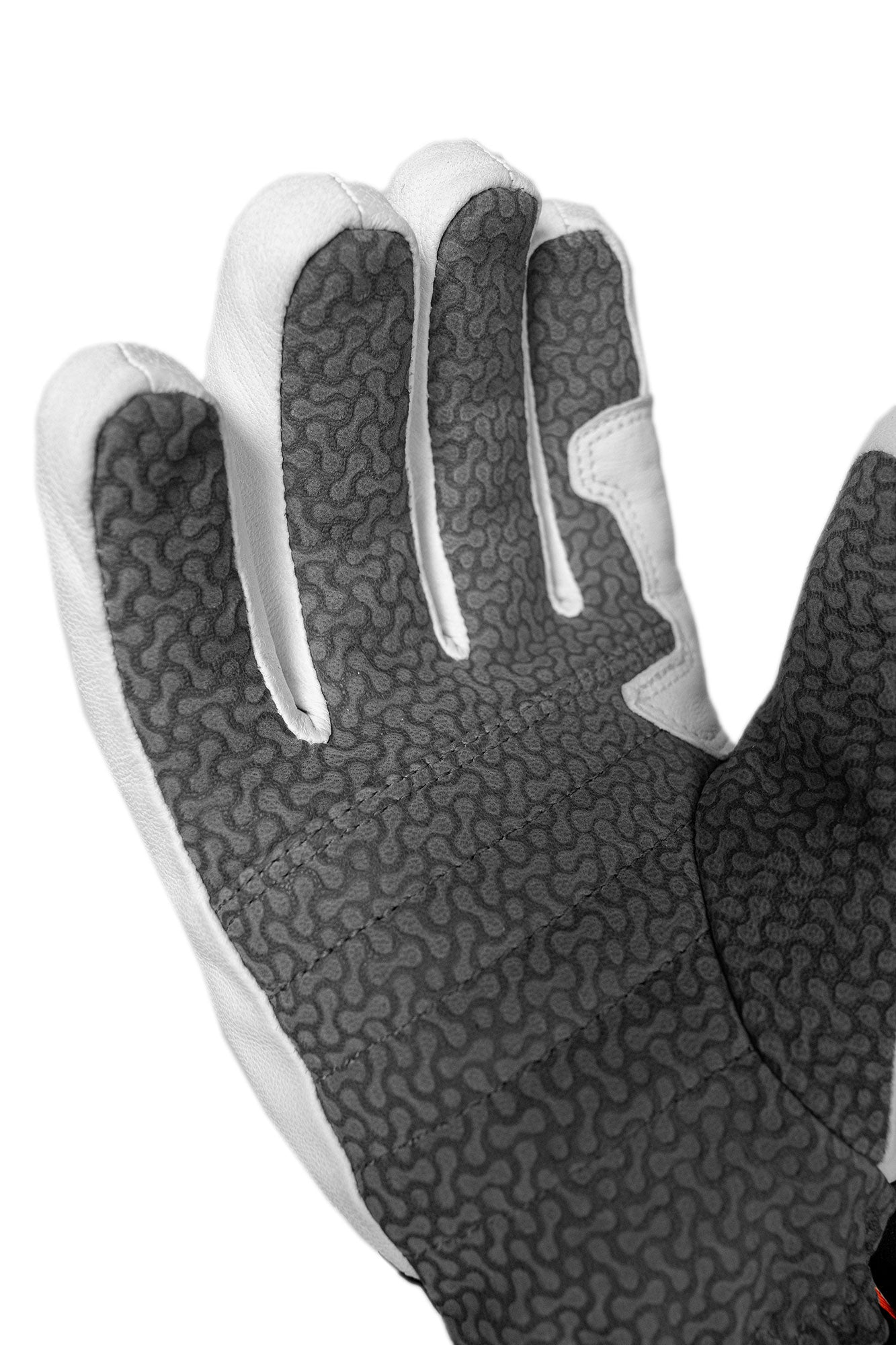 Reusch Alpine Master
