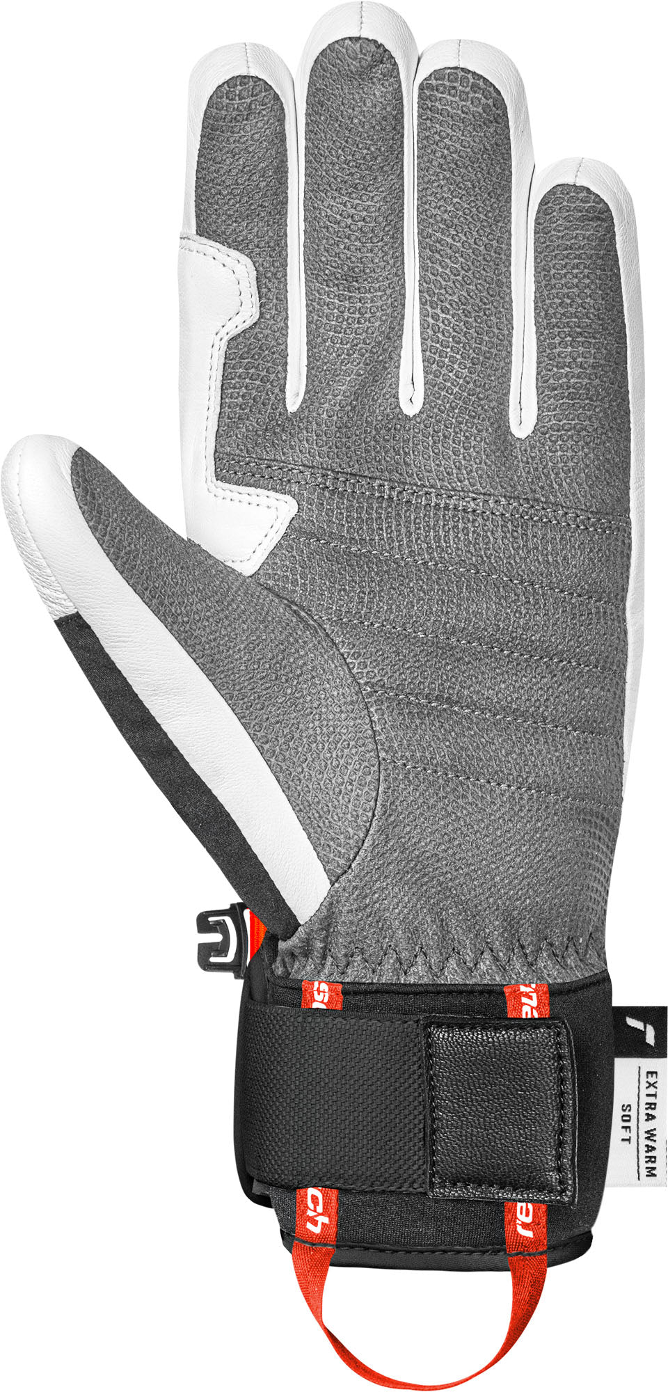 Reusch Alpine Master