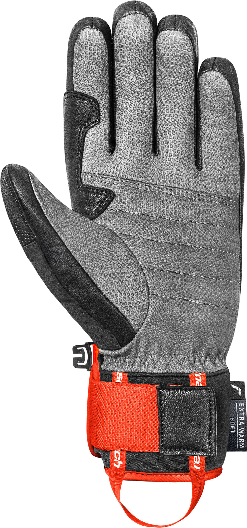 Reusch Alpine Master